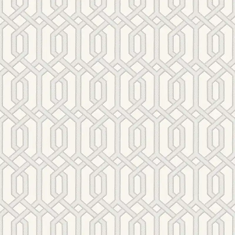 DesignID Beaux Art2 BA220011 papier peint intissé 3D 0.53 m x 10.05 m gris Prix Cassé