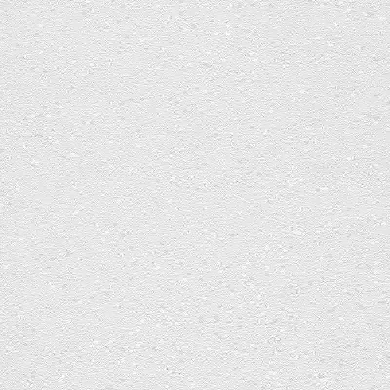 Prix Bas Rasch Selection 770322 papier peint intissé uni 0.53 m x 10.05 m blanc