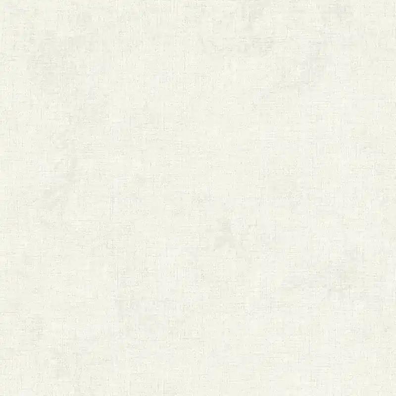 A.S. Creation New Walls 374311 papier peint intissé effet béton 0.53 m x 10.05 m gris Commande En Gros