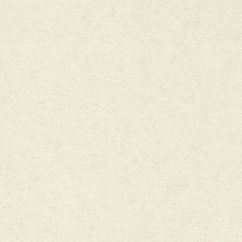 Rasch Andy Wand 649314 papier peint intissé uni 53cm x 1005cm écru Nouvelle Collection