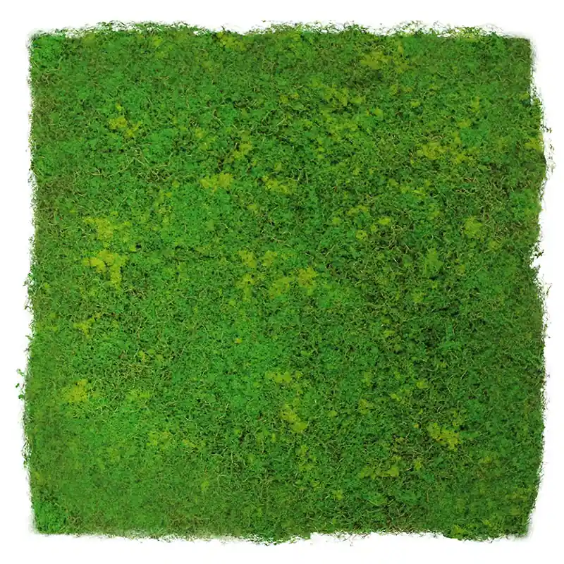 JANGAL Modular Wall Panneau Acoustique Mural 520 x 520 mm Mousse Vert Pâle à Fibres Panneau végétal Expédié Aujourd'hui