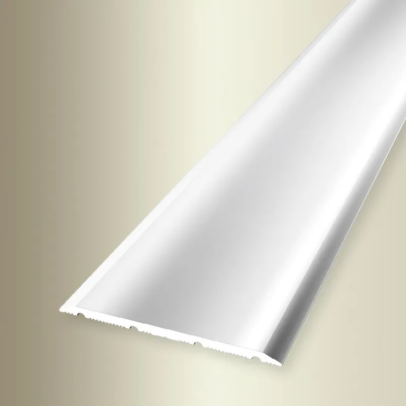 PROVISTON Barre de seuil Largeur 40 mm Hauteur 0 - 99 mm Aluminium Lisse Autoadhésif Dernier Modèle