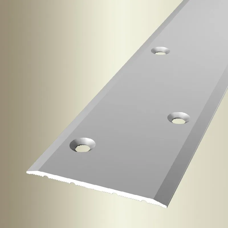 Nouvelle Collection PROVISTON Barre de seuil Largeur 60 mm H 0 - 99 mm Longueur 1000 mm Alu anodisé Lisse