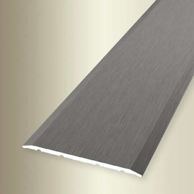PROVISTON Barre de seuil Largeur 60 mm H 0 - 99 mm Longueur 1000 mm Alu anodisé Lisse Livraison Express