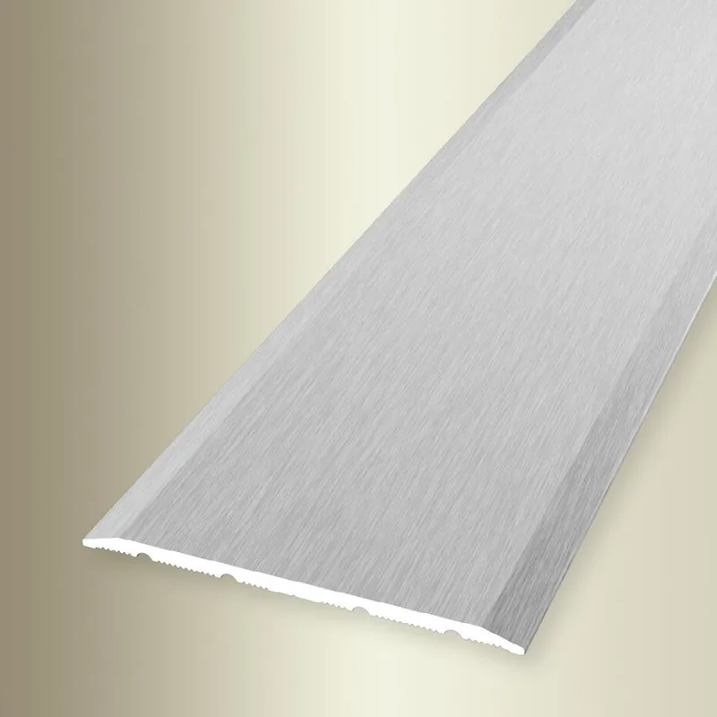 PROVISTON Barre de seuil Largeur 60 mm H 0 - 99 mm Longueur 1000 mm Alu anodisé Lisse Offre Du Jour