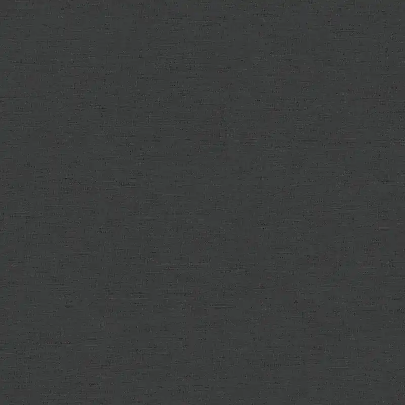 Papier peint intissé 371781 noir argent Uni uni PintWalls II A.S. Creation Bon Plan