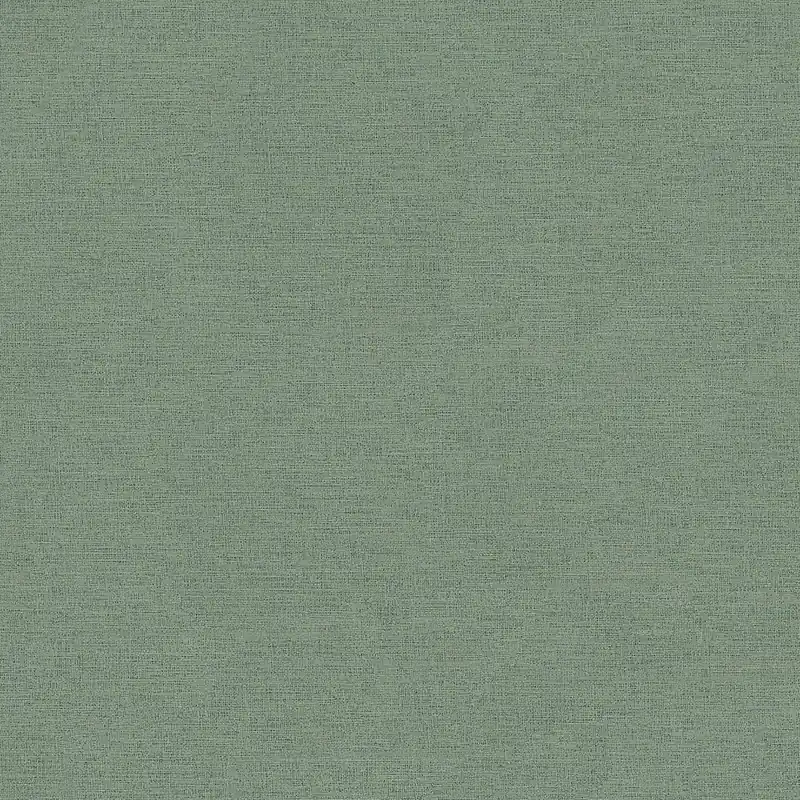 Petit Prix Papier peint intissé 371787 vert Uni uni PintWalls II A.S. Creation