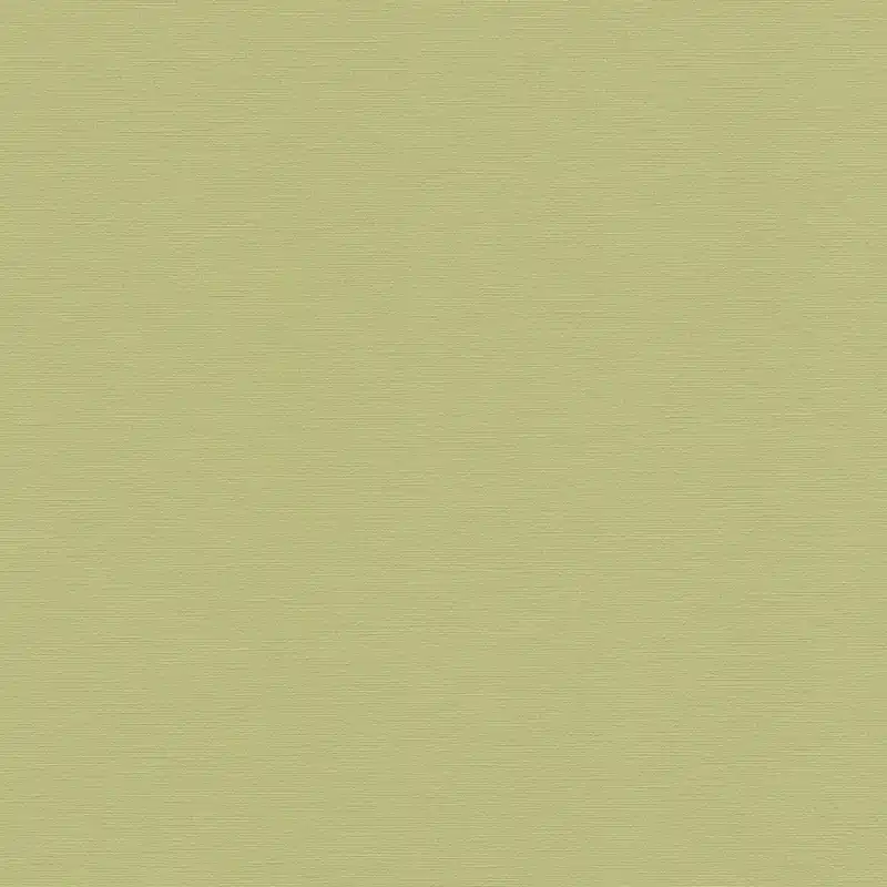 Papier peint intissé 390974 vert Uni uni Aquarell Dreams A.S. Creation Offre Exclusive