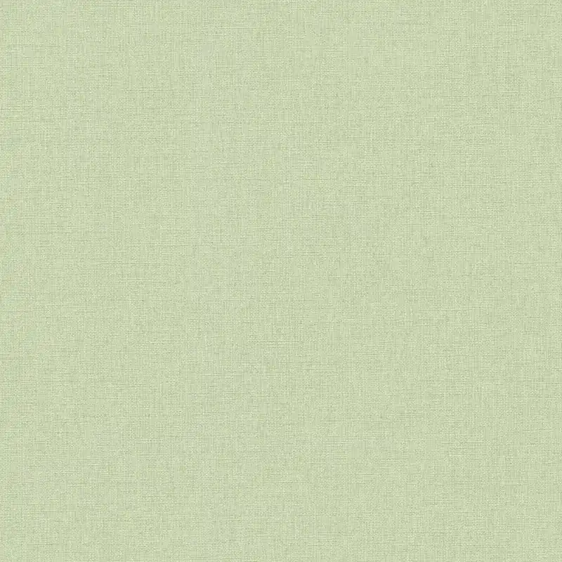 Papier peint intissé 399886 vert Uni uni Michalsky 6 A.S. Creation Nouvelle Collection