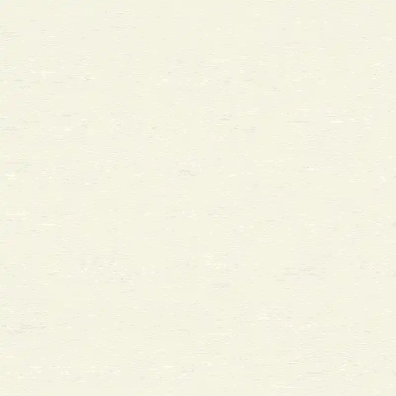 Papier peint intissé 393414 blanc Uni uni French Affair A.S. Creation Affaire À Saisir