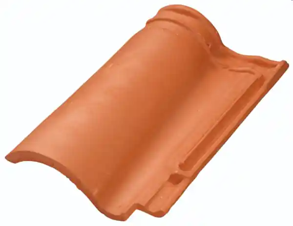 TER TUILE DOUBLE CANAL 12 ROUGE SEGALA Petit Prix