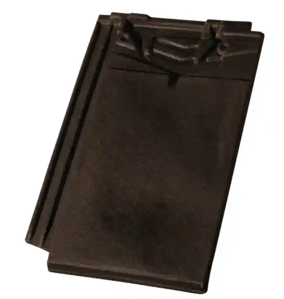 TER TUILE LA GAULOISE NOIR GRAPHITE Offre Limitée