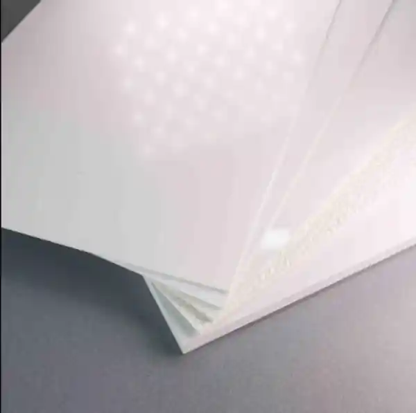 Dernier Modèle PLAQUE PVC 2MM LISSE SATINE 2M44X1M22 MAINE