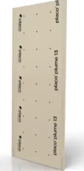 Offre Exclusive PLAQUE DE PLATRE PLACO PLACO PLUME 13 2M50X1M20