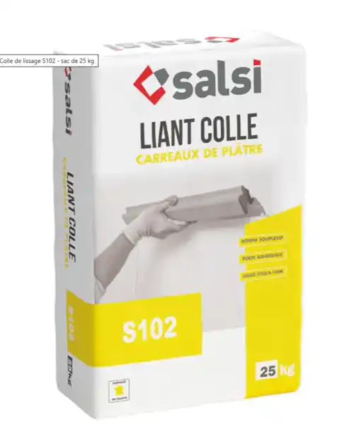 Must-Have ETEX SALSI COLLE MORTIER PLAQUE DE PLATRE MASS1 SAC 25KG