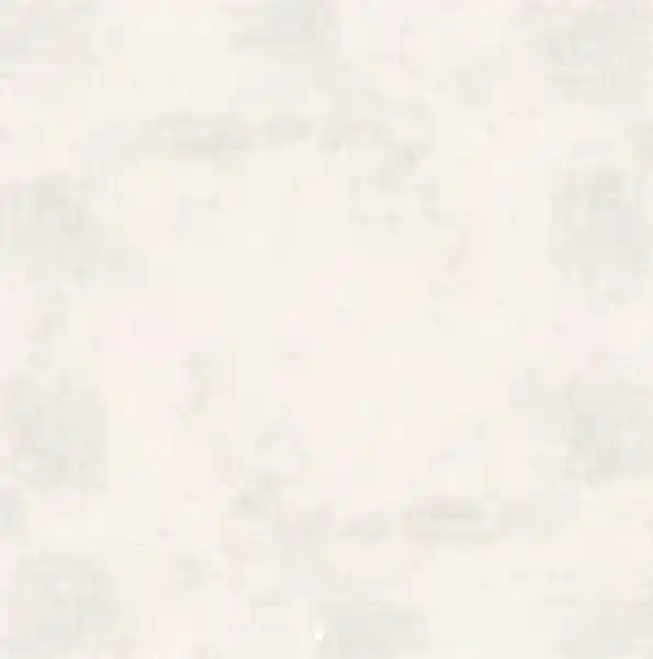 Paiement Sécurisé ODYSSEE PASSION BLANC RECTIFIE 60X60