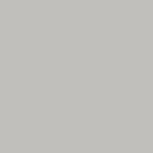 RAKO TAURUS COLOR LIGHT GREY 03 30X30X8 - BOITE DE 1.27 M2 Populaire