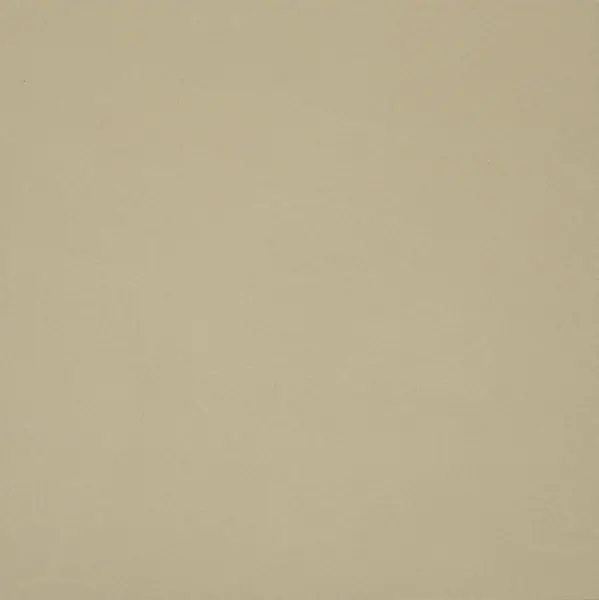 Populaire PADANA BIANCO A SECURA 20X20 - BOITE DE 1.2M2