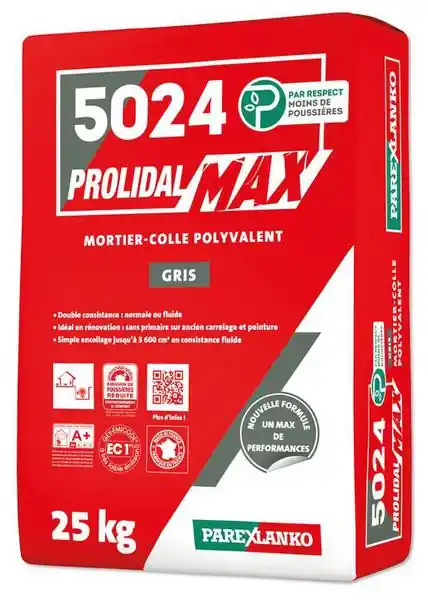 Offre Limitée LKO 5024 PROLIMAX GRIS 25KG