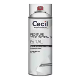 Peinture Tous Materiaux Cecil PA RAL Blanc Brillant 400ml Promotion Saisonnière