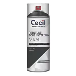 Peinture Tous Materiaux Cecil PA RAL Noir Satin 400ml Vente Directe