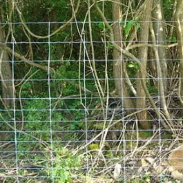Grillage noué Cyclone fil 2,5 mm, H 1,2 m, maille 300 mm, 100 ml Prix Réduit