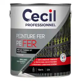 Peinture Fer Extérieur Haute Durabilité Cecil PE FER Vert Normand 2,5L Usine Directe