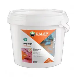 Décapant Peinture Universel Dalep Paintop Bidon de 5L Meilleur Choix
