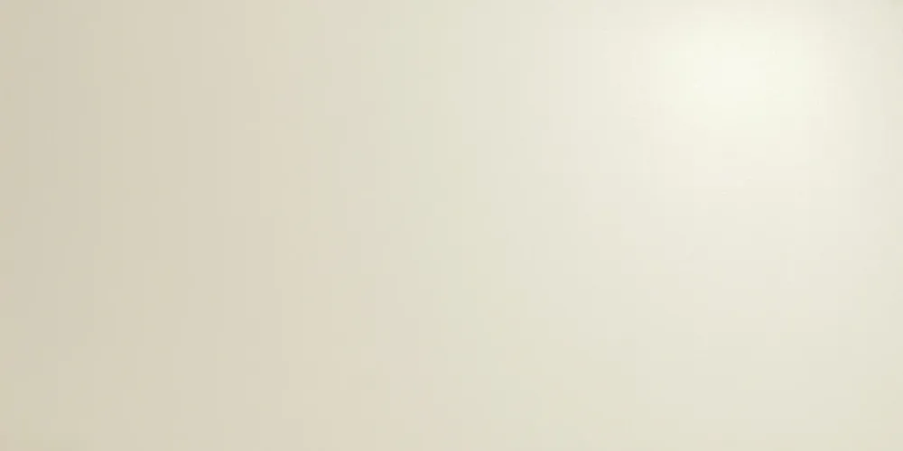 Commande En Gros Carrelage Beige 80x40x0,85 cm Mat Cavaro - Mur intérieur