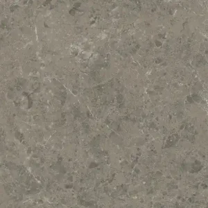 Acheter Direct Carrelage effet Marbre Gris Impérial 120x60x0,9 cm Mat Orsiano - Sol et mur intérieur