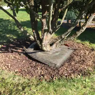Offre Spéciale Coussin d‘arrosage à libération lente - Tree Bed® - Plantco